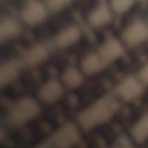 Meet your Posher, Molly